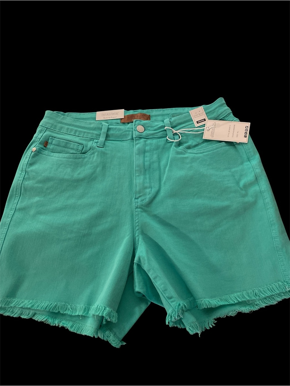 Judy Blue Teal Frayed Hem Denim Shorts